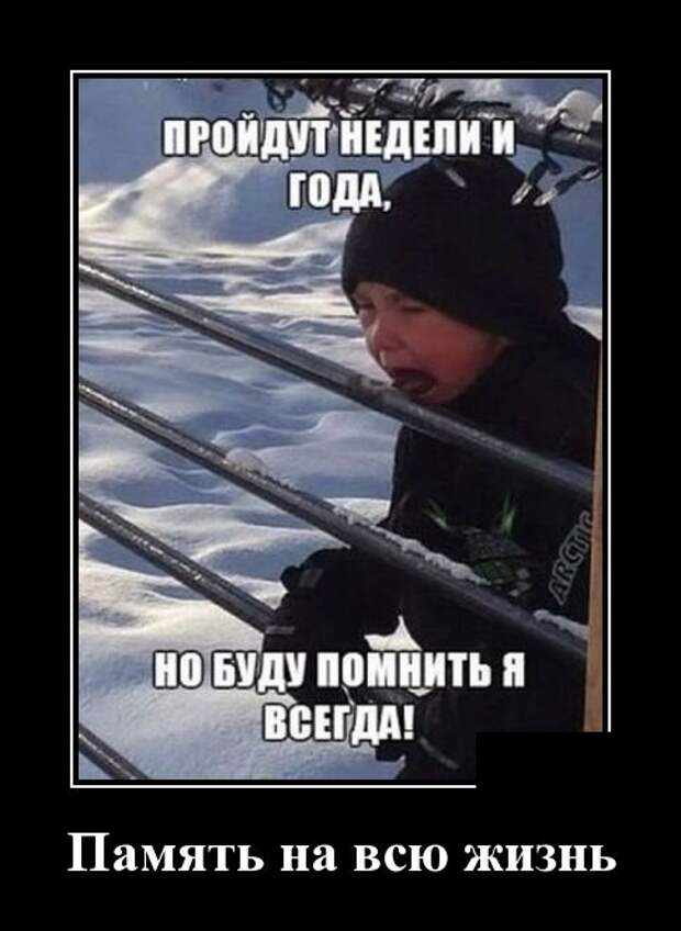 Демотиваторы (30 фото)