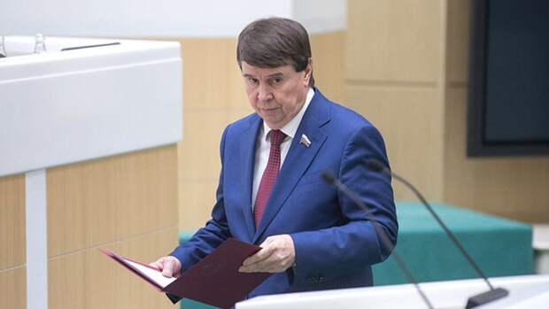 Цеков объяснил, как Украина навредила себе блокировкой резолюции РФ в ООН