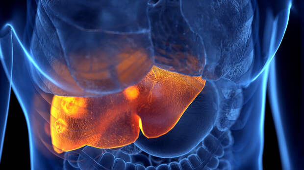 Врач Юнев: гепатит А передаётся через грязные руки и воду