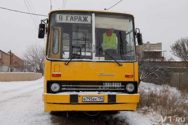 Волгоградец осуществил мечту детства и купил автобус Ikarus авто, автобус, автомобили, икарус, мечта, общественный транспорт, янгтаймер