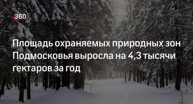 Площадь охраняемых природных зон Подмосковья выросла на 4,3 тысячи гектаров за год