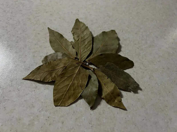 Мама научила класть лавровый лист под коврик: теперь это мой главный лайфхак для дома