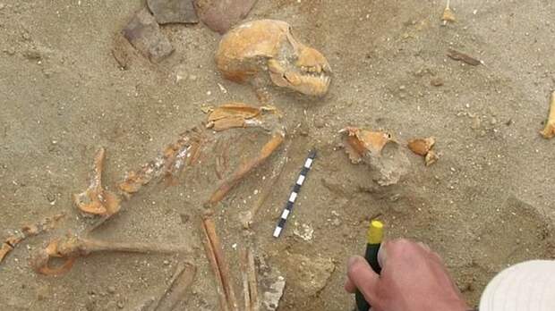 В Египте нашли захоронения необычных домашних питомцев