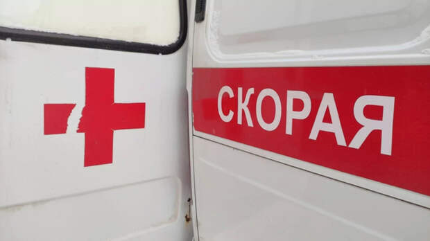 Водитель грузовика насмерть сбил пешехода в Алтайском крае