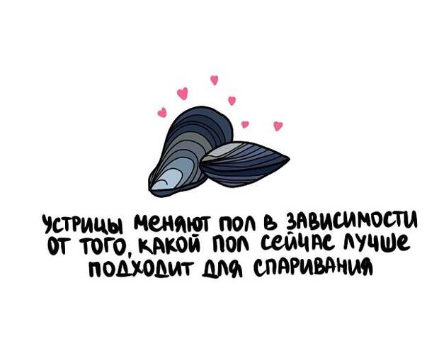 Интересные и короткие факты на все случаи жизни