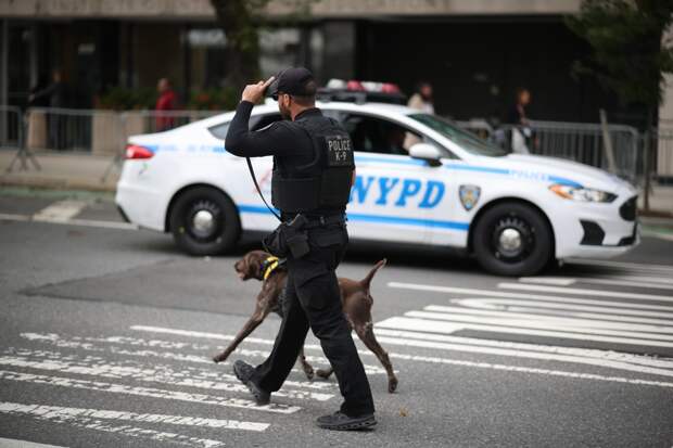 Пропавшую 30 лет назад девочку нашли живой