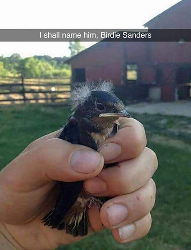 Birdie Sanders