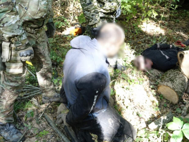 Жители Кубани вырубили в Адыгее 60 кубометров дубов
