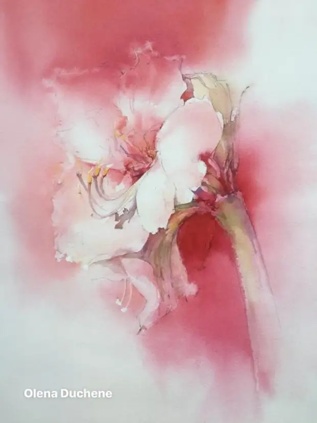 �������� Olena Duchene (����� �����) ������� � 16