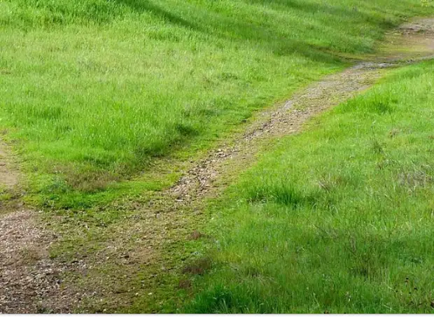 Во дворе на Коровинке перекопали народную тропу