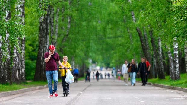 Когда в Московский регион вернется 20-градусное тепло, спрогнозировал синоптик