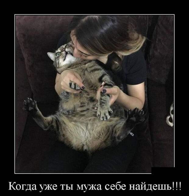 30 демотиваторов в среду
