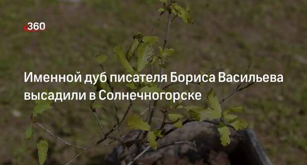 Именной дуб писателя Бориса Васильева высадили в Солнечногорске