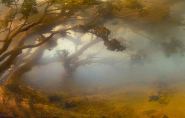 Дюны. Автор: Kim Keever.