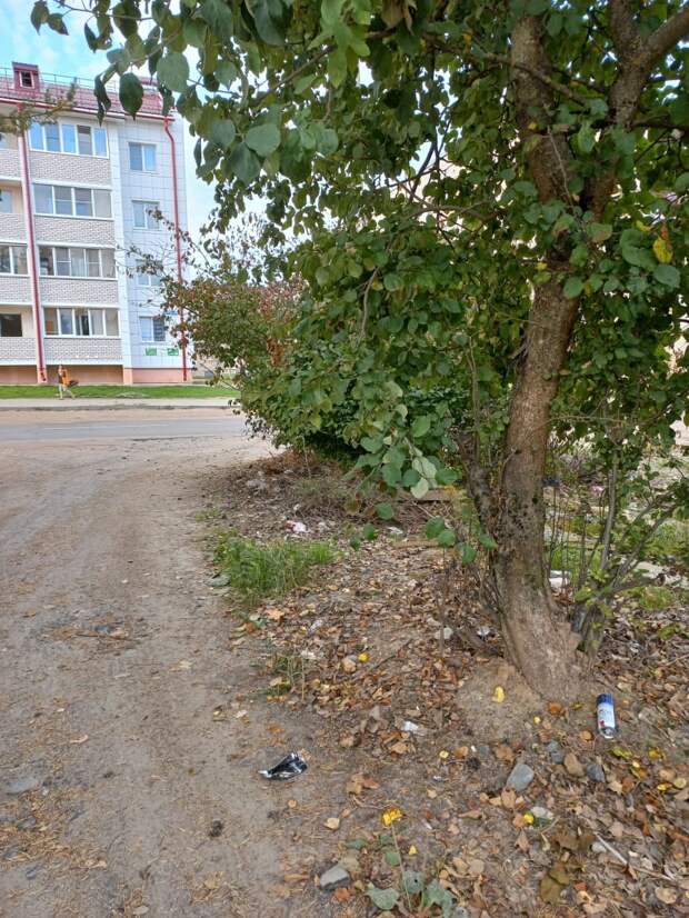 Воспитанники школы-интерната провели субботник в городе Нелидово