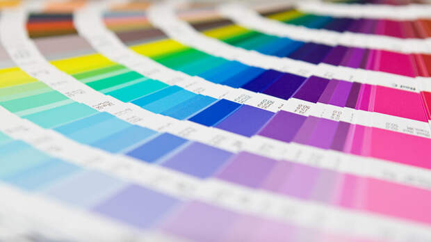 Цветом 2026 года по версии института Pantone стал нейтральный белый