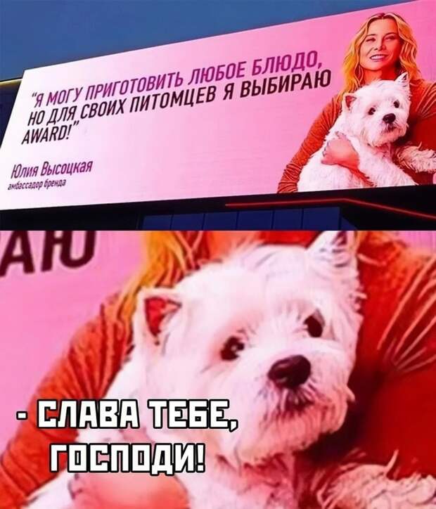 Донецкая группа новостей, Донецк ДНР