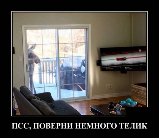 Демотиваторы (30 фото)