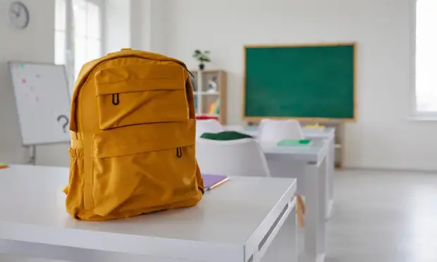 8-классница открыла стрельбу в школе: все, что известно о ЧП в Брянской ...