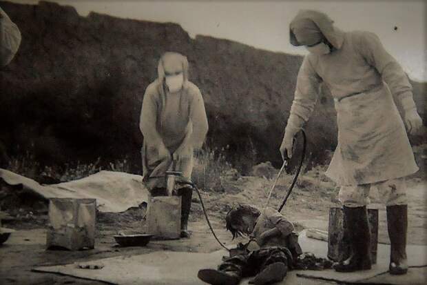 Наказали символически, и то далеко не всех. история, отряд 731, преступления, япония