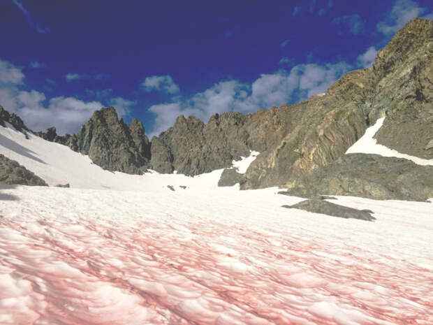 Красиво и печально: почему ледник в Альпах стал розовым, и что с ним будет дальше