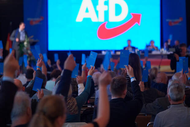 Welt: депутат "Альтернативы для Германии"  Циклер подвергся нападению в Дрездене