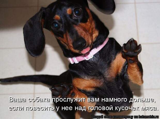 Давайте улыбаться вместе! :) (21улыбока)