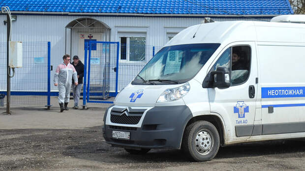 Губернатор МО Воробьев ввел карантин по бешенству в Реутове