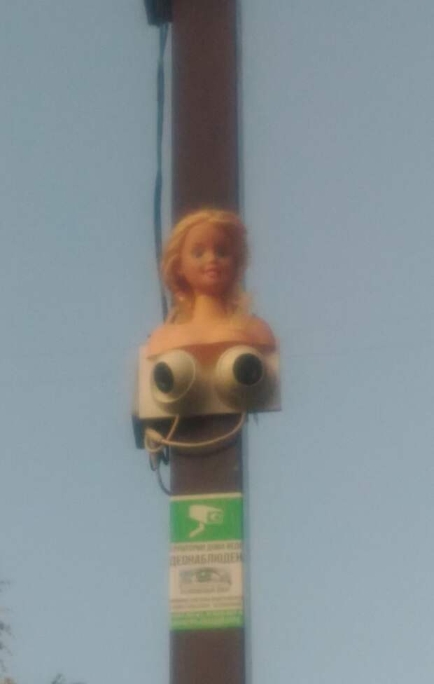 Фотоподборка