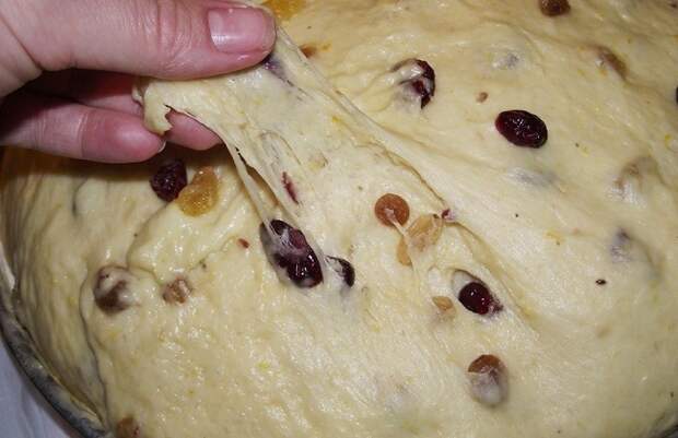 венское тесто на куличи