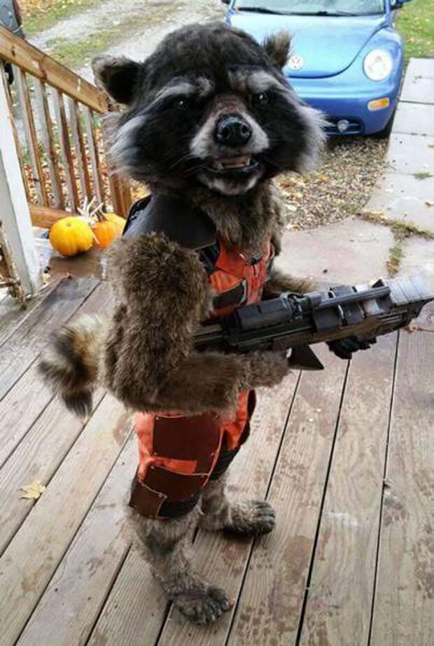 Костюмы для Хэллоуина (36 фото)