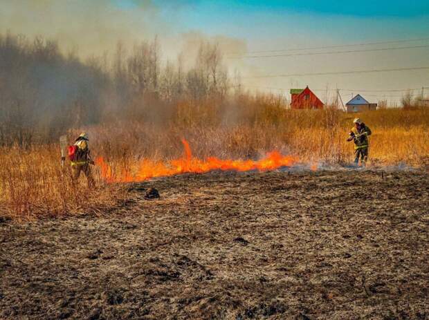 Правительство Смоленщины утвердило список деревень под угрозой возникновения лесных пожаров