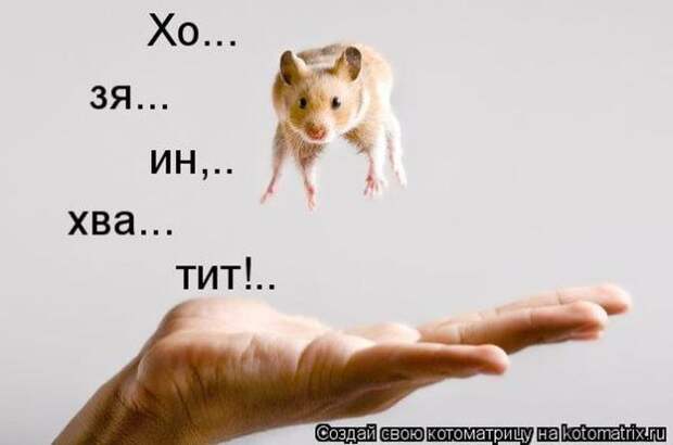 Мысли вслух :)