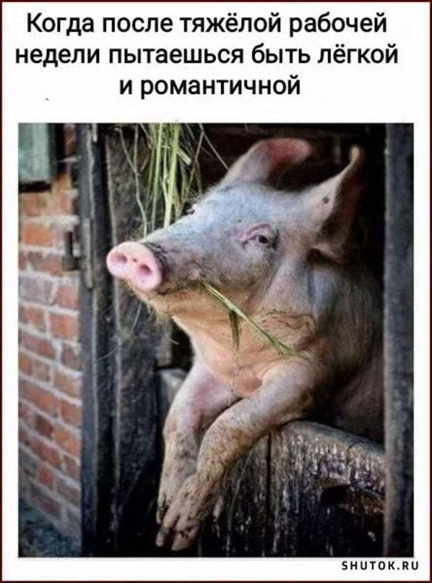 Подборка смешных картинок и мемов для хорошего настроения!