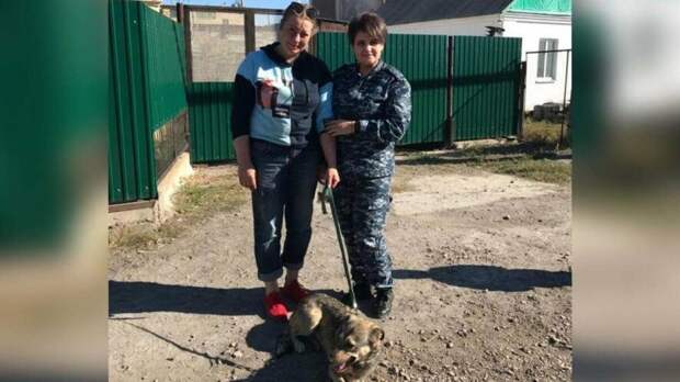 В Караганде собака, получившая 28 ножевых ранений, обрела новых хозяев