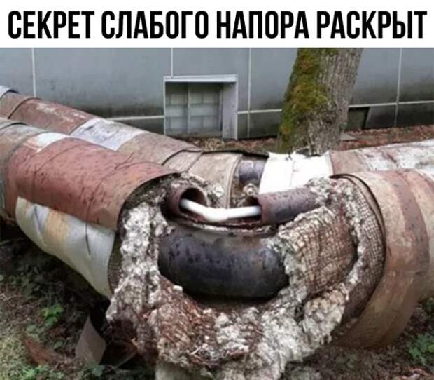 Подборка картинок. Вечерний выпуск (20 фото)