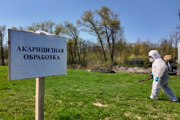 В Тамбове началась акарицидная обработка парков и скверов