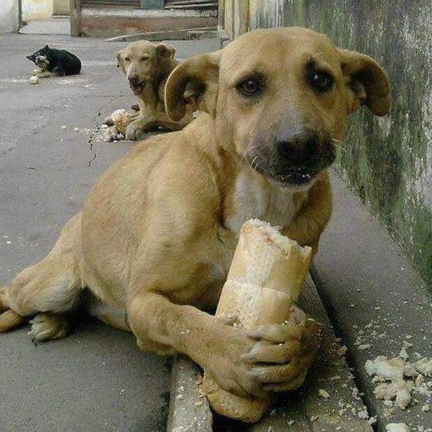 Что то тут не так