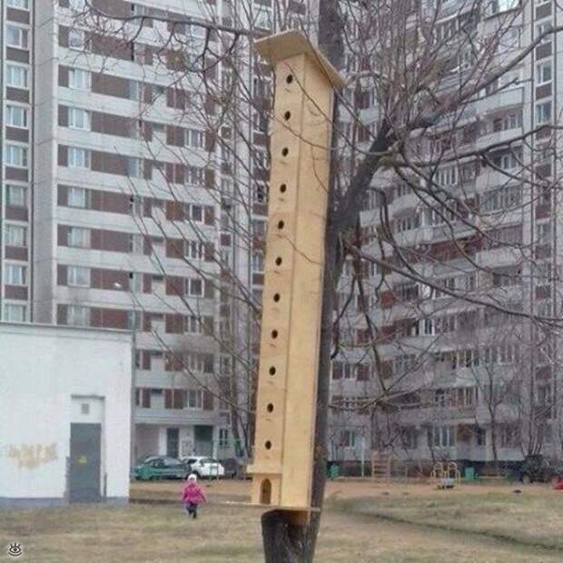 Наши приколы