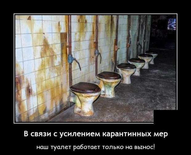 Демотиваторы 18 ноября 2020