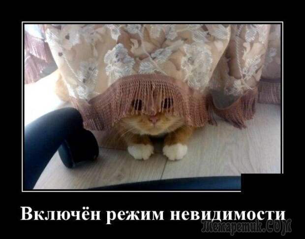 Демотиваторы для настроения
