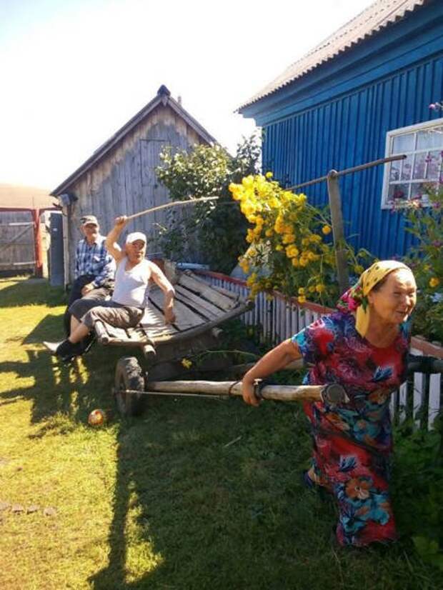 Доминируй, властвуй, унижай (31 фото)
