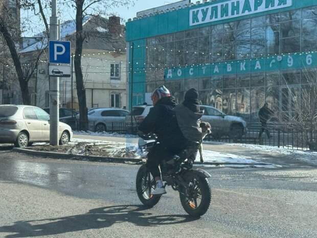 Донецк. Подростки с собакой на питбайке на пр. Ильича