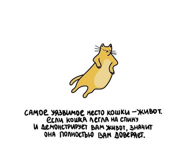 Короткие интересные факты обо всём