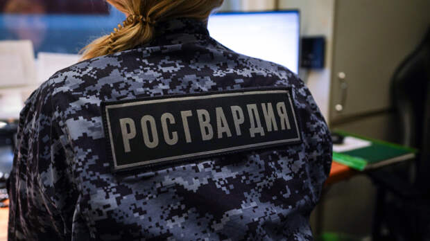 Все задачи, поставленные перед Росгвардией в 2025 году, были выполнены