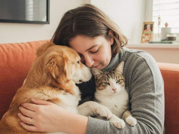 Пять привычек хозяев, которые раздражают собак и кошек