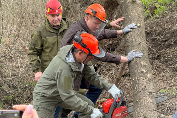 Губернатор Миляев о субботнике в Туле: Такой труд сплачивает и вдохновляет
