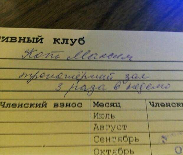Мяу Мяу говорящая фамилия, паспорт, прикол, смешная фамилия, смешно, фамилия