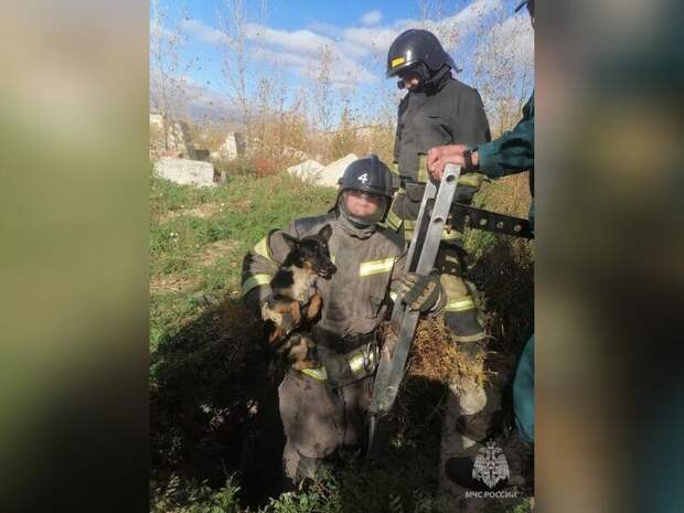 Пожарные спасли собаку из колодца в Чите