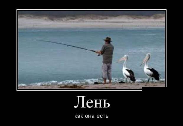 Демотиваторы демотиваторы, прикол, юмор